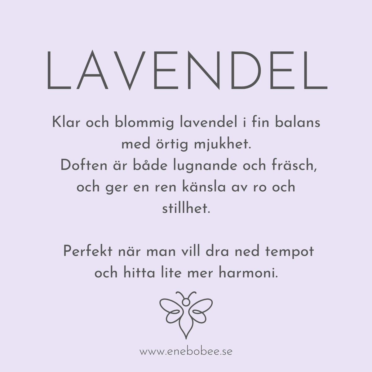 Lotion Bar – Lavendel