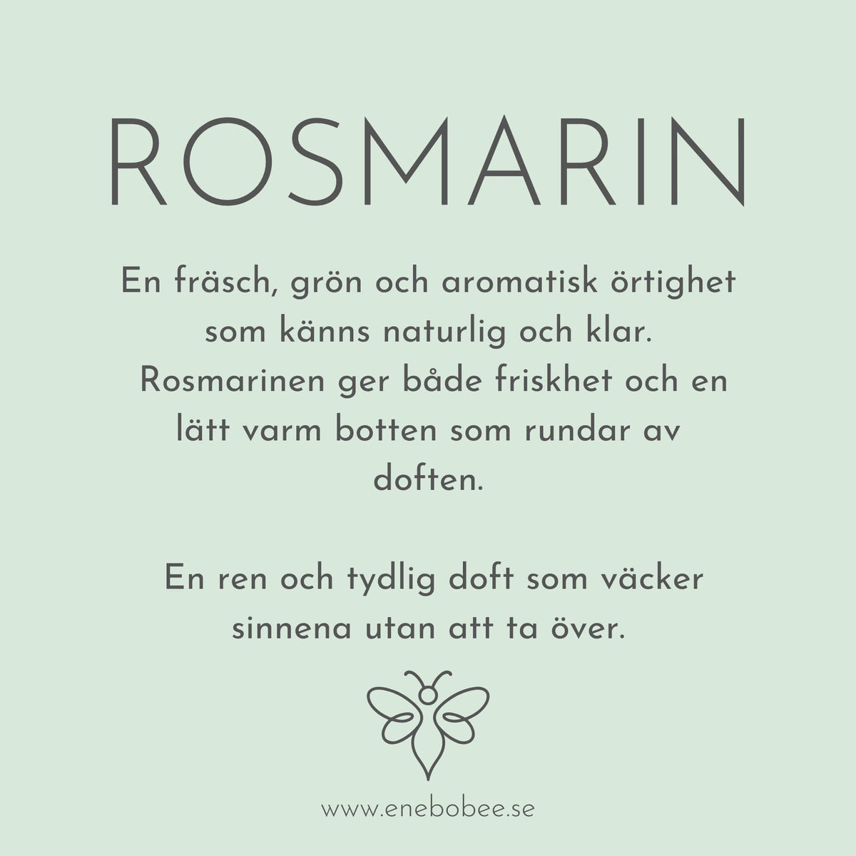 SaltSkrubb – Rosmarin & Bivax
