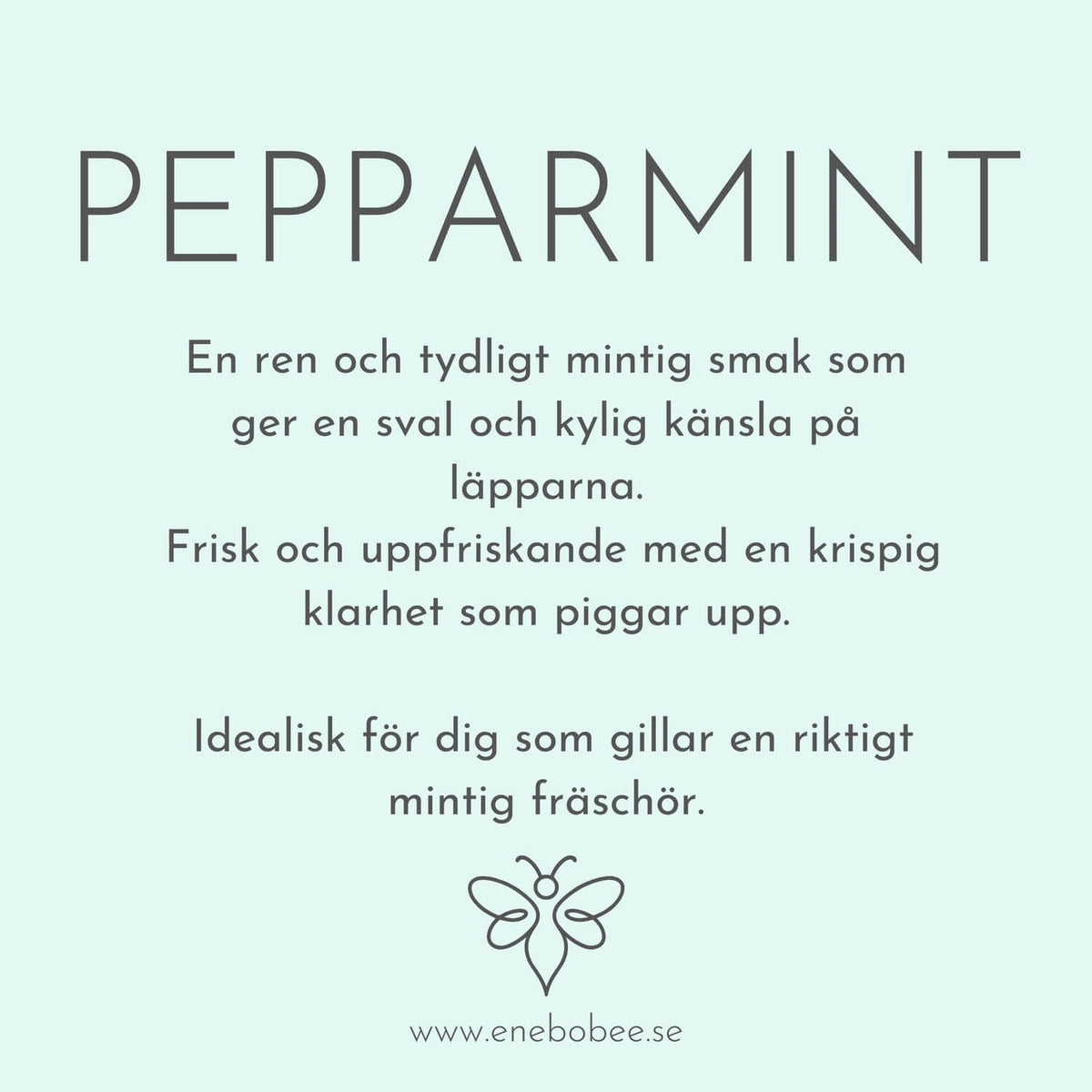 LäppBalsam – Pepparmint – Papptub